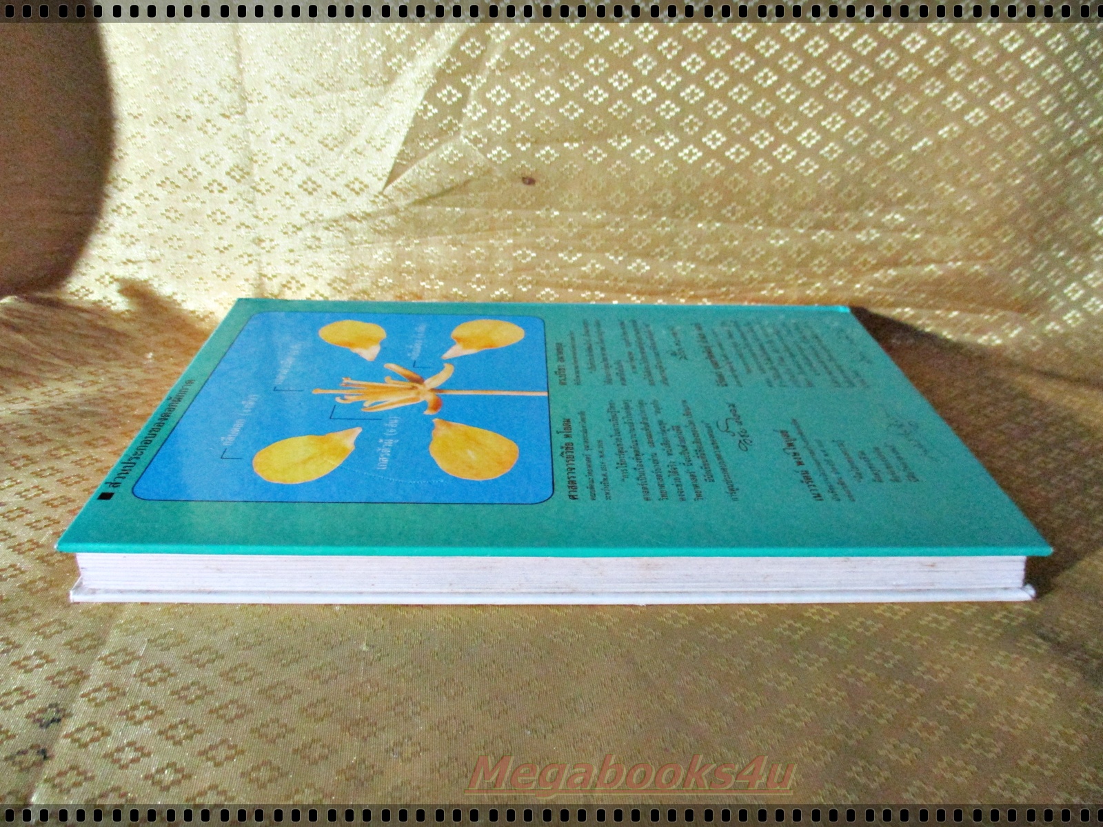 สนุกกับวิทยาศาสตร์ ครบชุด4เล่ม