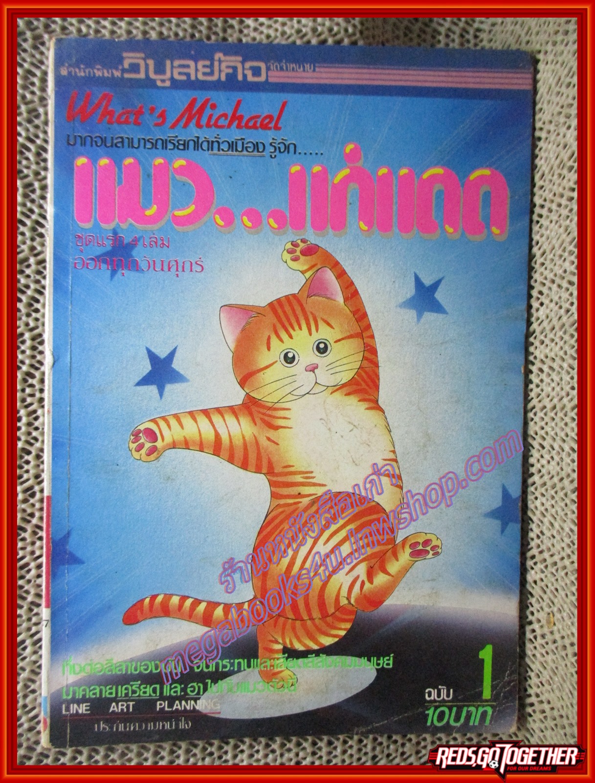 การ์ตูนบ้าน แมวแก่แดด เล่ม1
