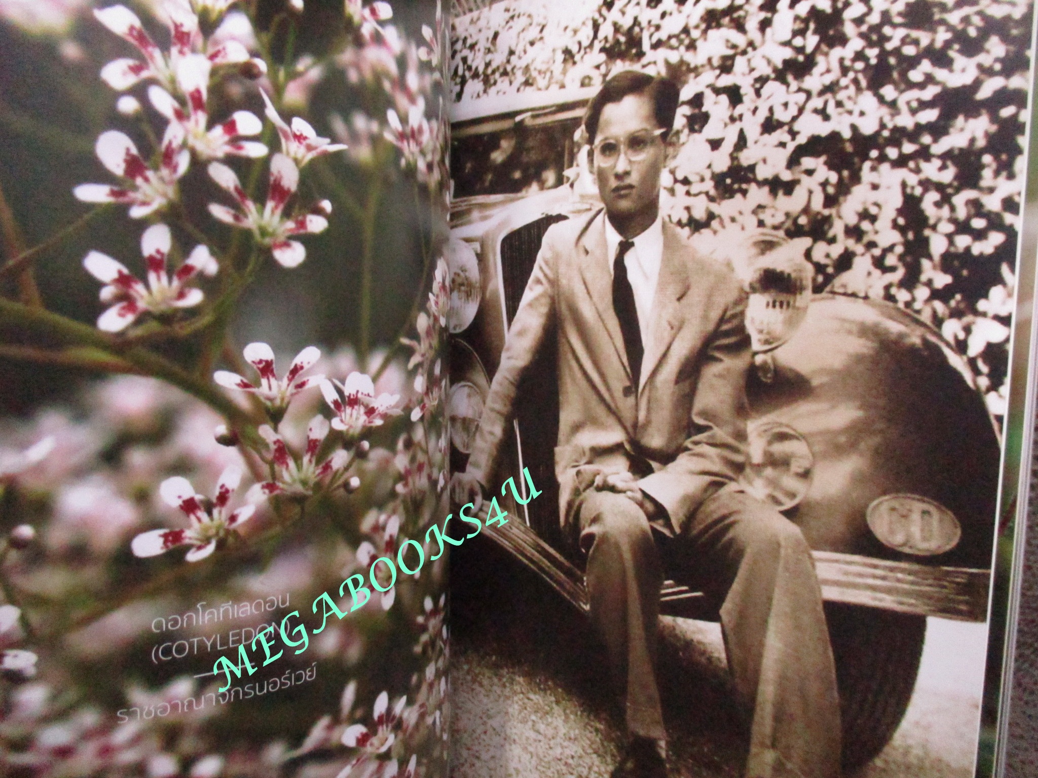 จาริกานุสรณ์ในพระบาทสมเด็จพระปรมินทรมหาภูมิพลอดุลยเดช บรมนาถบพิตร + กล่องใส่ (มือสอง) (สภาพ85-95%)