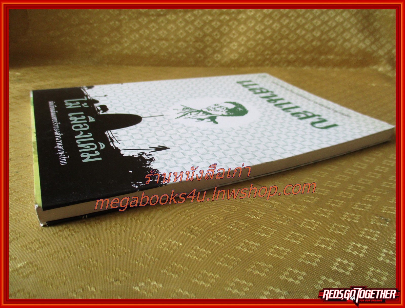 แสนแสบ /ไม้ เมืองเดิม / สนพ. ไพลิน