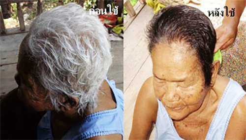 BSY Black Hair Magic บีเอสวาย บีสวอน แชมพูปิดผมขาว