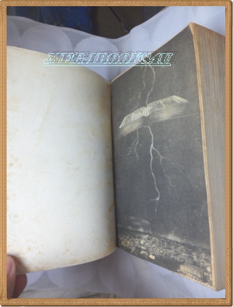 E5403;พิราบแดง เล่มเดียวจบ โดย อิเคมามิ เรียวอัน หมึกจีนหนังสือบ้าน สภาพดี