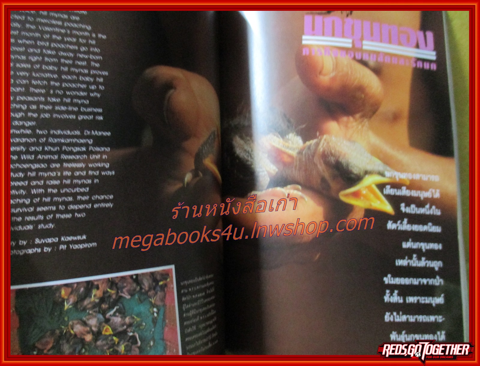 นิตยสารสารคดี ฉบับที่099 พฤษภาคม 2536 ปีที่9 ป่าเขตร้อน,หมอซินเธีย,นกขุนทอง,เที่ยวขอนแก่น,