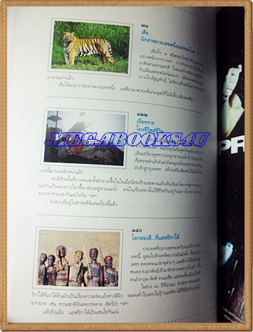 นิตยสารสารคดี ฉบับที่101 2536 เสือ เรือทราย,แอฟริกาใต้,เที่ยวลำพูน