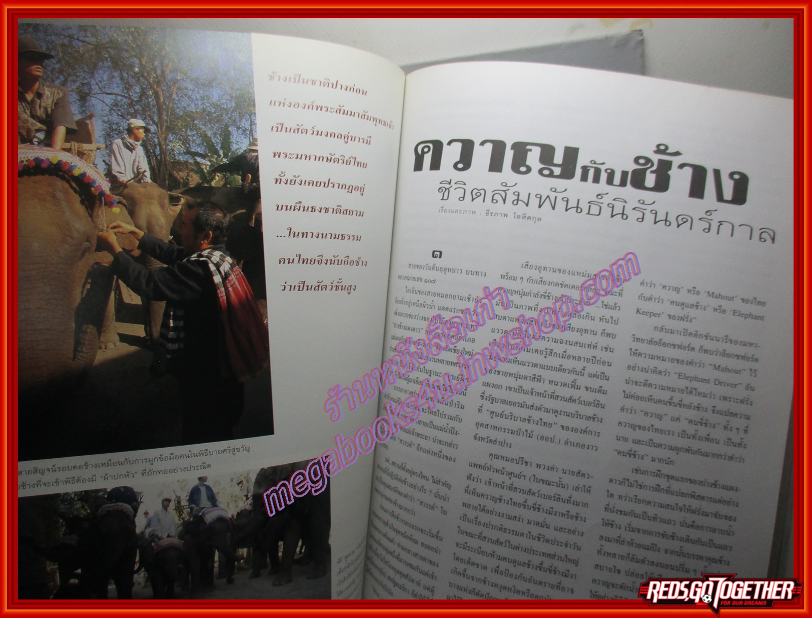 นิตยสารสารคดี ฉบับที่158 ปี2541 ยาบำรุงทางเพศ ควาญกับช้าง