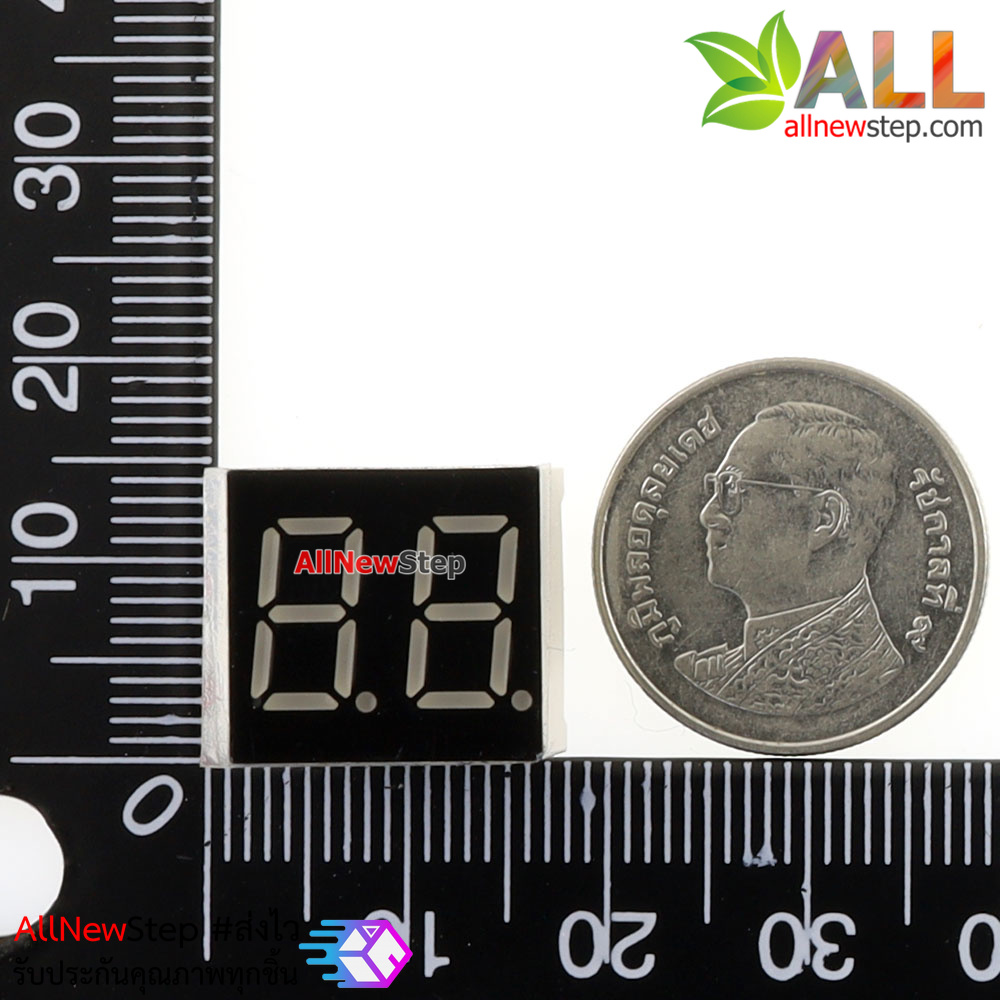 7 Segment 0.36 นิ้ว Common Anode 2 digit Red ไฟ 7 segment 0.36 2 หลัก สีแดงแบบไฟบวกร่วม 3621B 3261B SM4103620DW