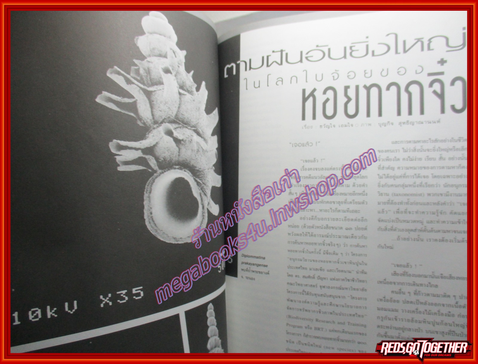 นิตยสารสารคดี ฉบับที่159 พฤษภาคม 2541 ม.จ.สิทธิพร กฤดากร,หอยทากจิ๋ว,คิลิมันจาโร,อ่าวพังงา