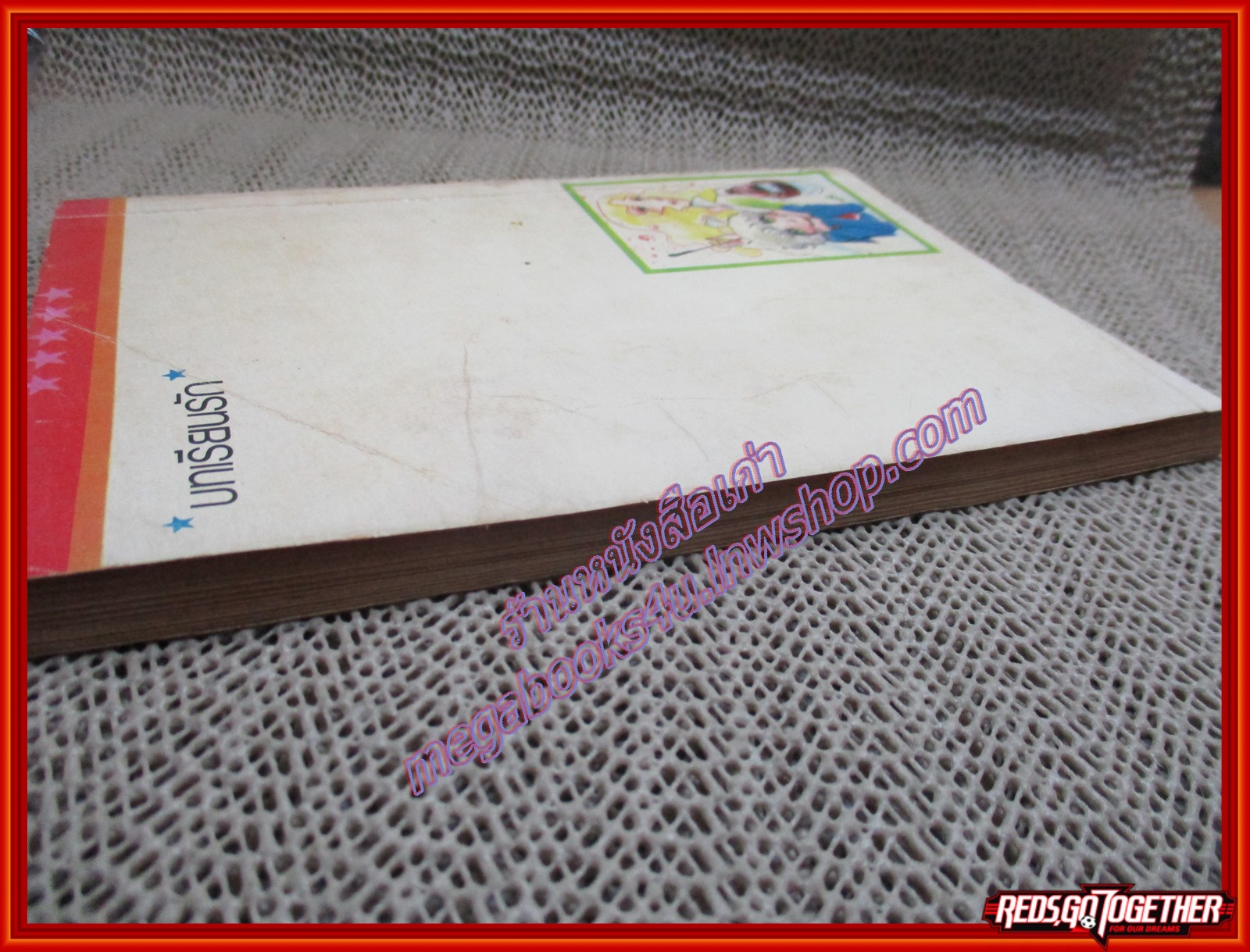 การ์ตูนบ้าน บทเรียนรัก เล่มเดียวจบ / PINK POCKET TOON