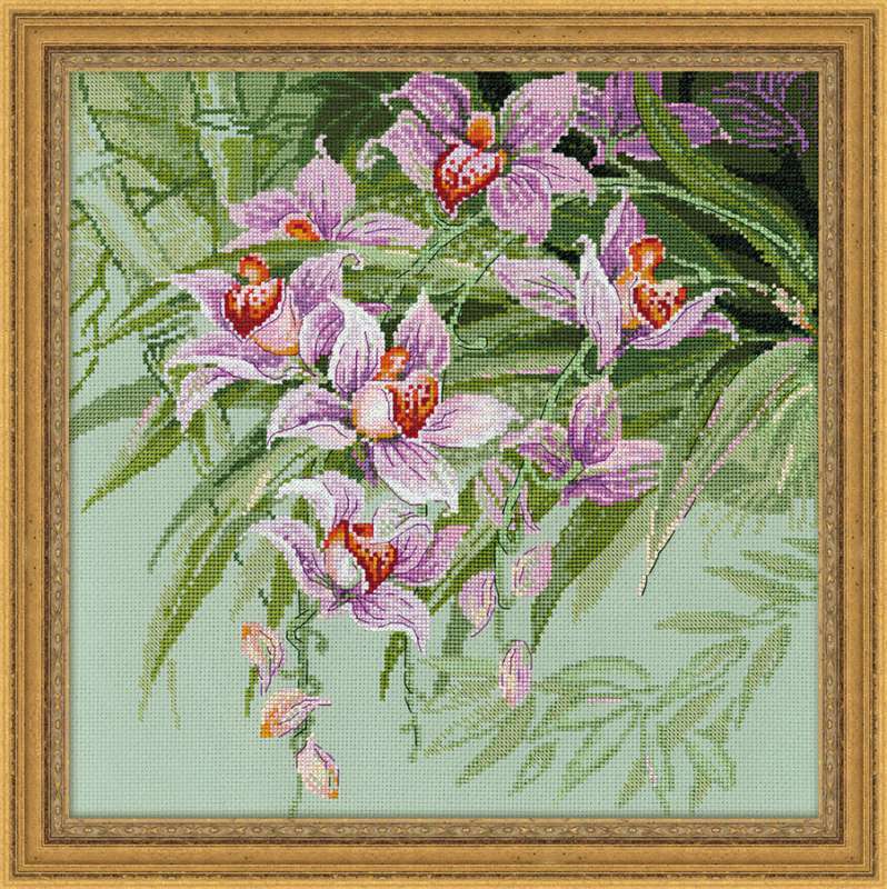 Riolis Tropical Orchids