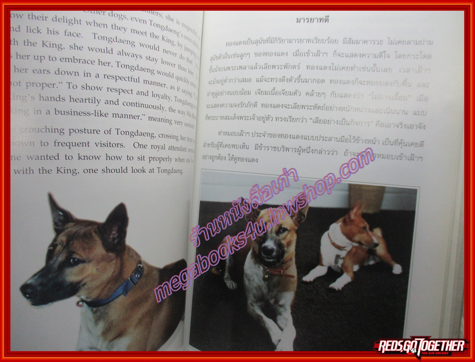 พระราชนิพนธ์ทองแดง พระราชนิพนธ์ พระบาทสมเด็จพระเจ้าอยู่หัวภูมิพลอดุลยเดช สภาพดี ปกแข็ง