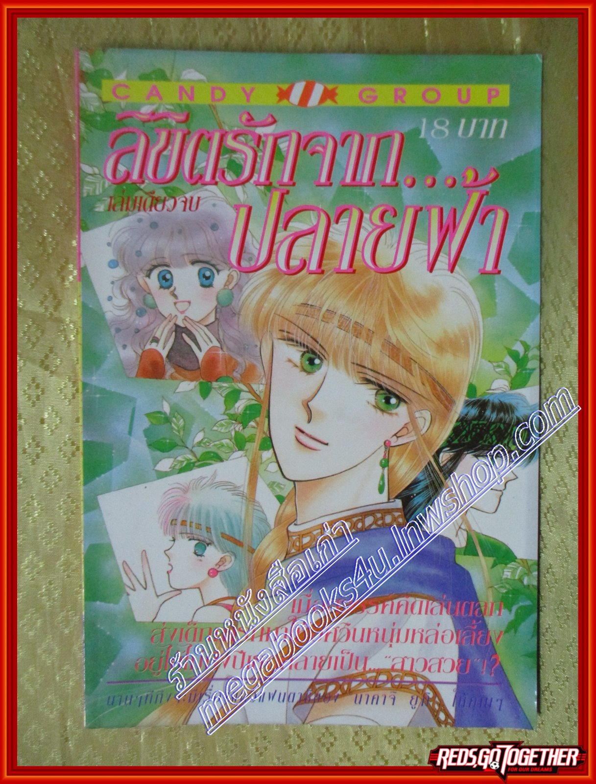 การ์ตูนบ้าน ลิขิตรักจากปลายฟ้า โดย นาคาจิ ยูกิ เล่มเดียวจบ สนพ.CANDY