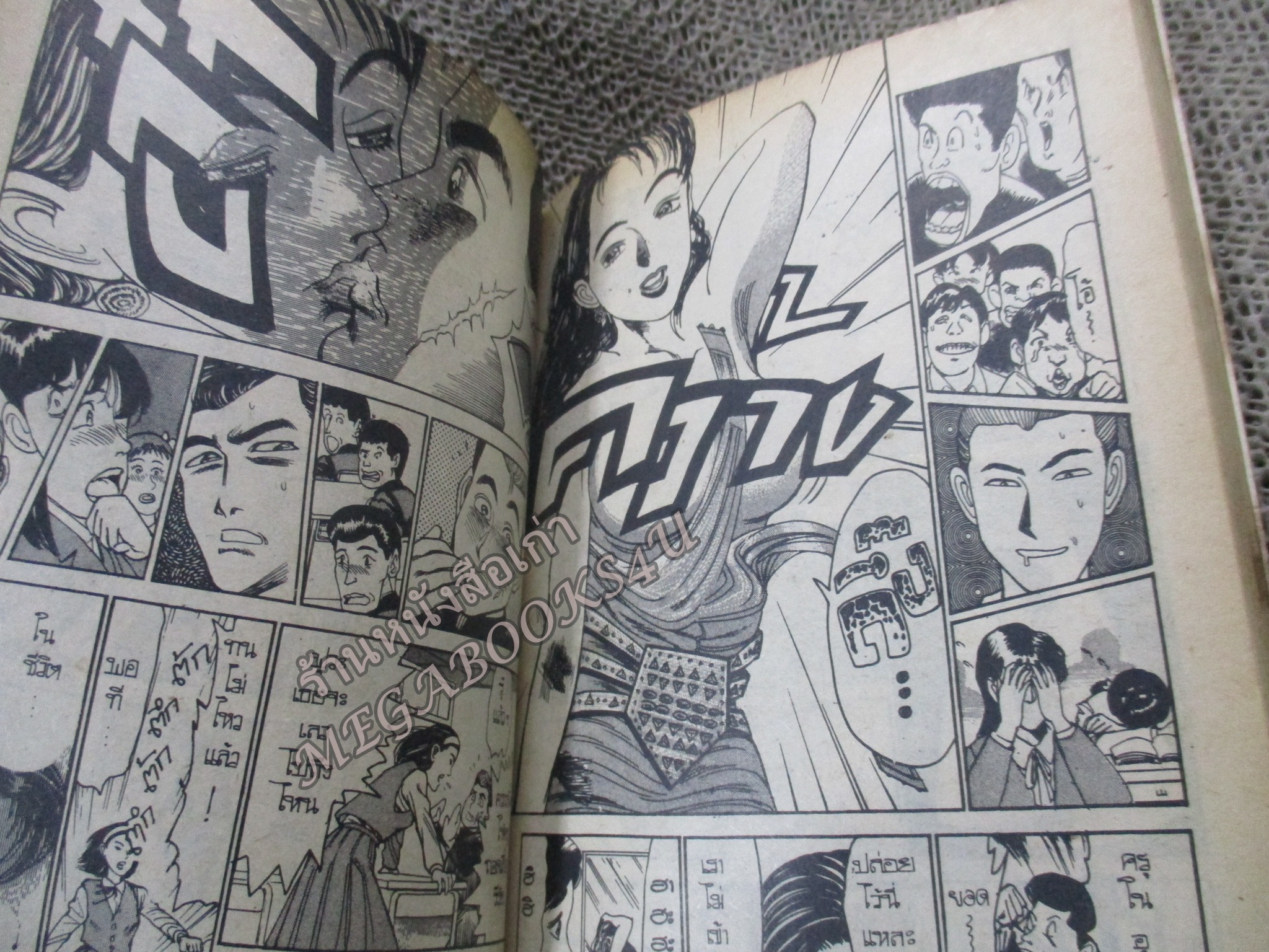 การ์ตูนบ้าน MELLOW ผู้ชายบานฉ่ำ เล่ม5 สนพ.Animate สภาพปานกลาง