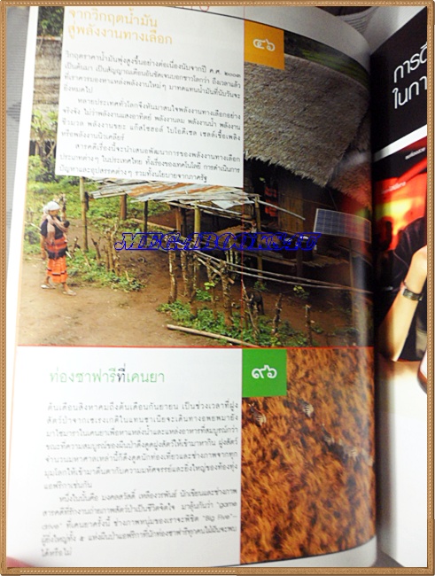 นิตยสารสารคดี ฉบับที่249 ปีที่21 พ.ย. 2548,พลังงานทางเลือก,ท่องซาฟารีที่เคนยา,เที่ยวพิจิตร สภาพดี