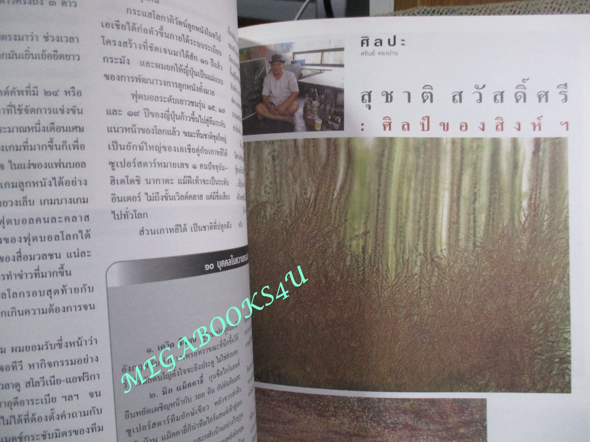 นิตยสารสารคดี ฉบับที่209 ปี2545 ฟุตบอลโลกปี2002 พระที่นั่งวิมานเมฆ แมลงสวยบนดอยสูง