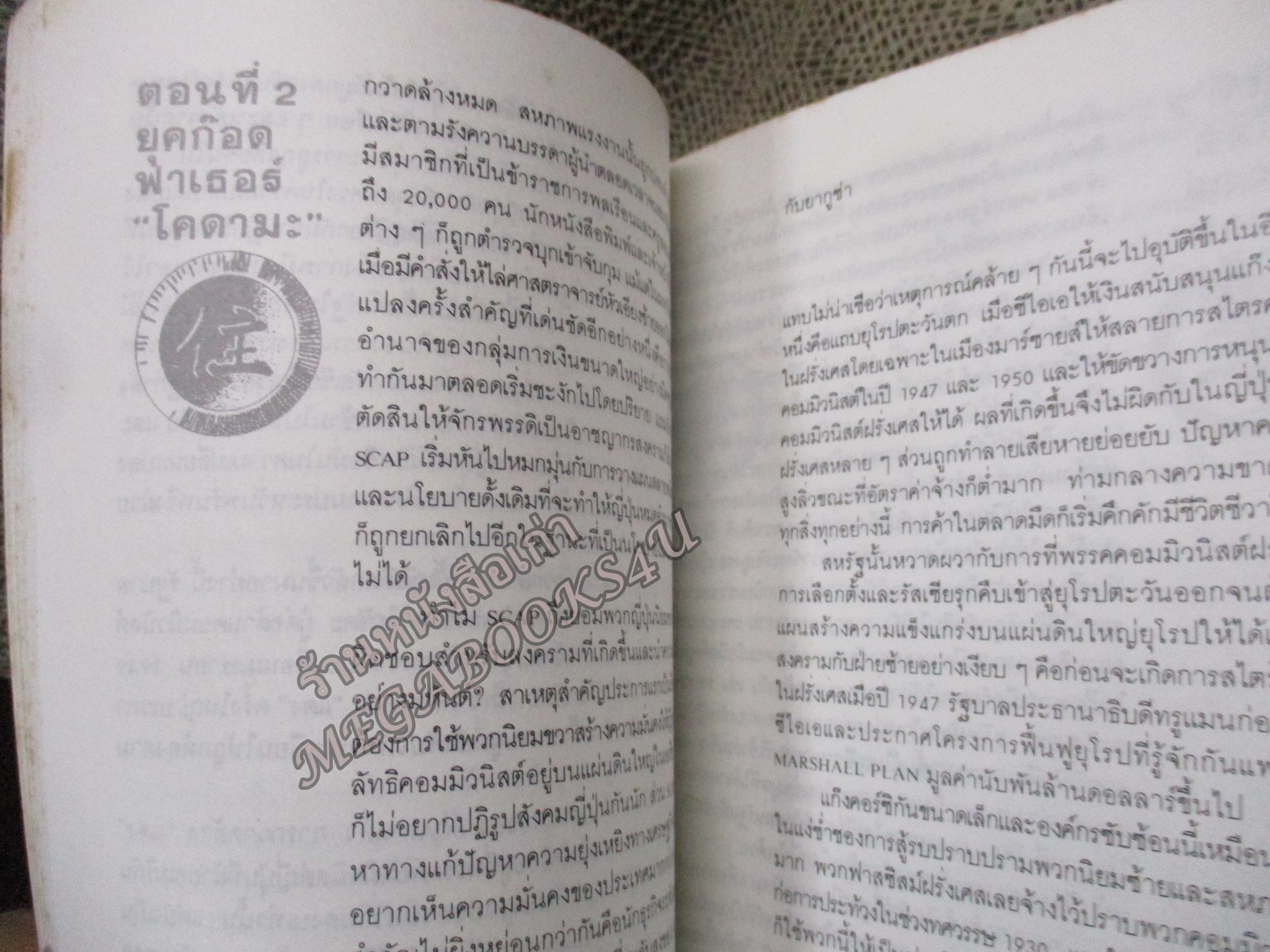 ยากูซ่า/ ดรุณี ลิ่ว / สภาพแข็งแรง ภายในเล่มสภาพดี กระดาษมีจุดเหลืองและคราบฝุ่น