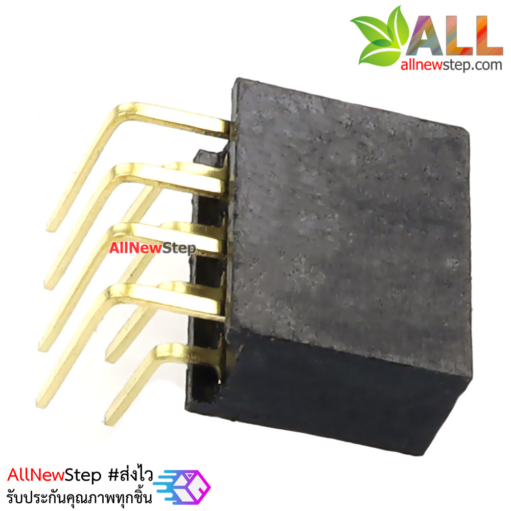 ขาก้างปลาตัวเมียแบบฉาก 2x4 ขา Double Row Hole Jack 2x4 PIN Header 2.54mm