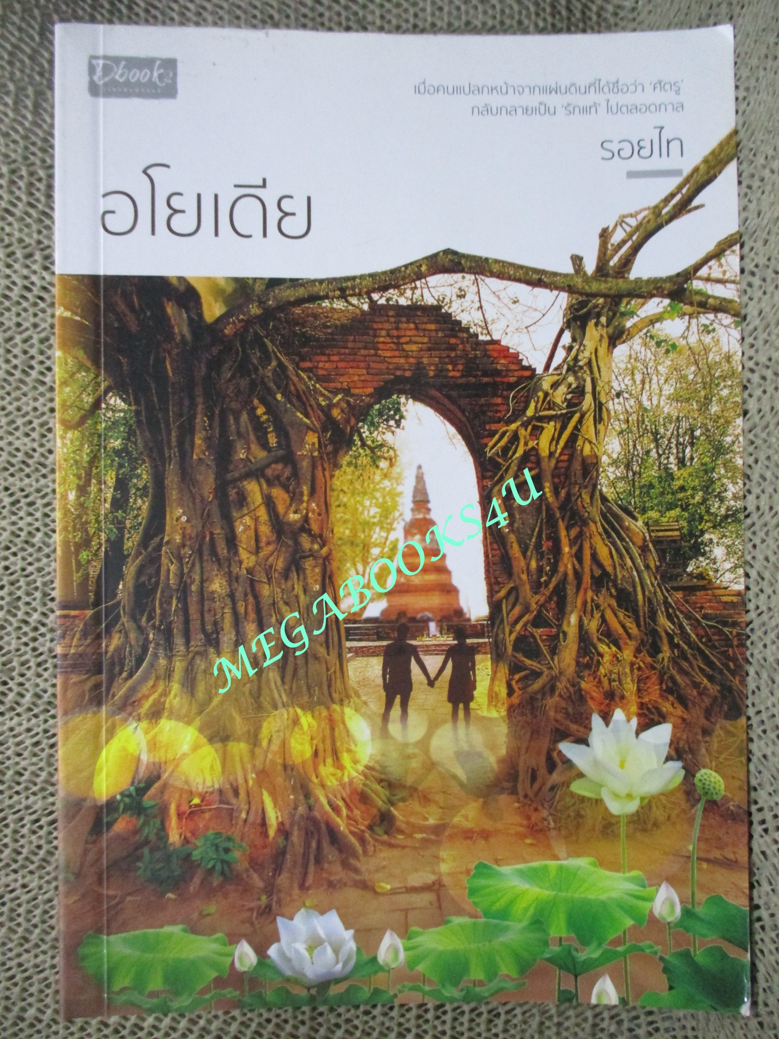 นิยาย อโยเดีย ผู้แต่ง รอยไท (หนังสือมือสอง) (สภาพ 80-95%)