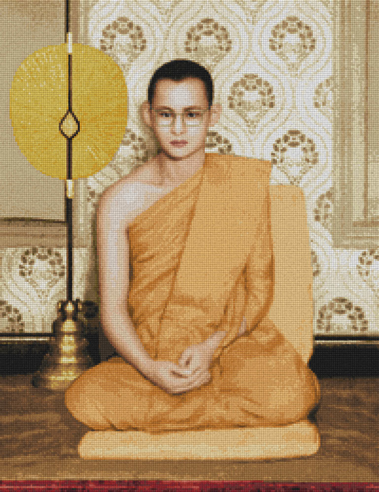 Pinn ในหลวงทรงผนวช (ภาพสี)