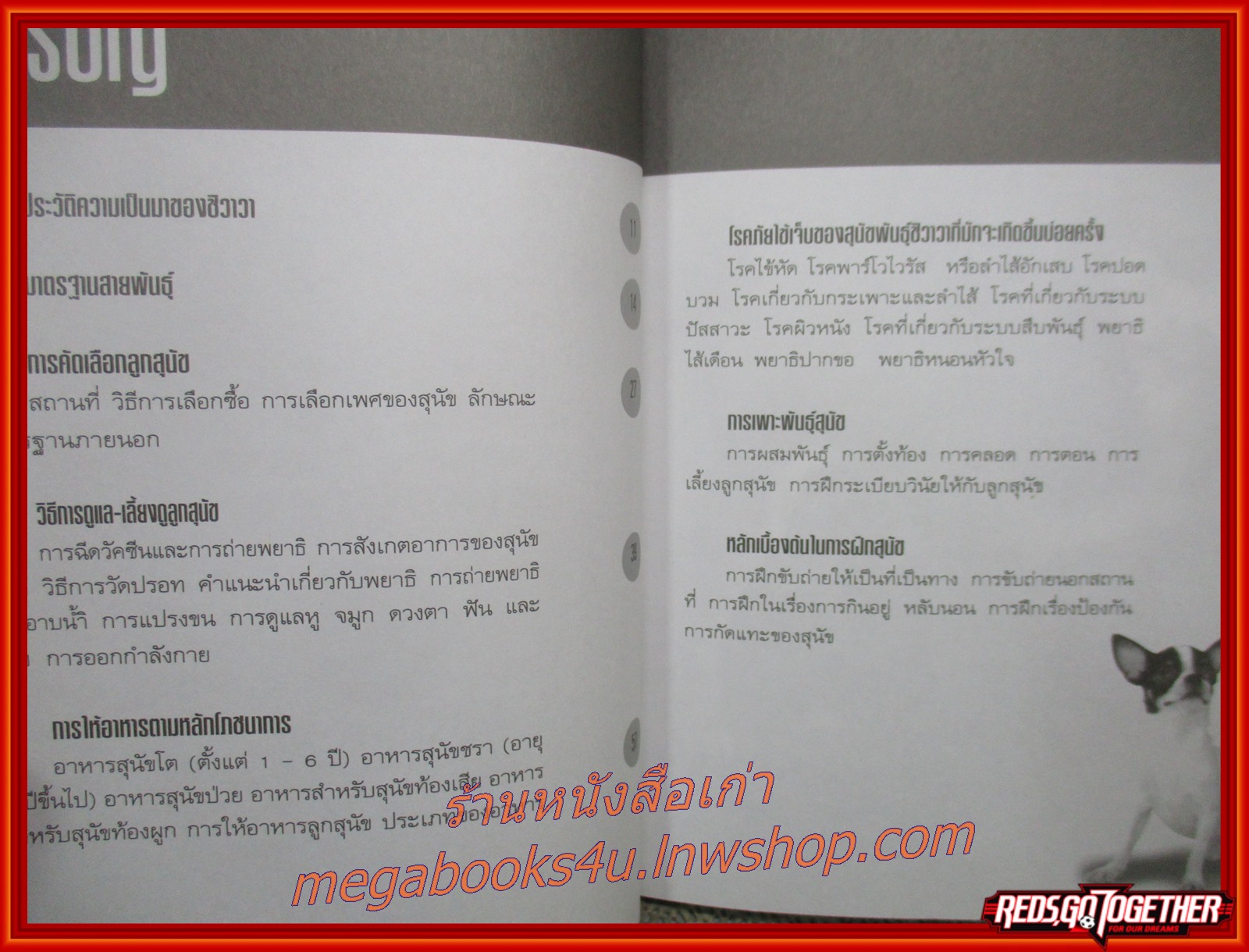 ชิวาวา Chihuahua / แพทย์หญิงจินตนา คงทวีกุล