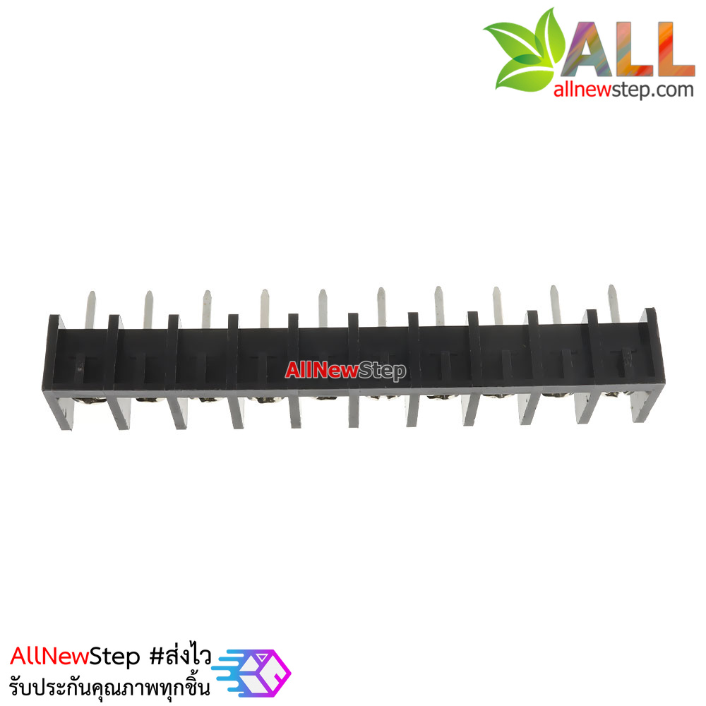 ขั้วต่อ Terminal Block 10 ขา terminal block 10p