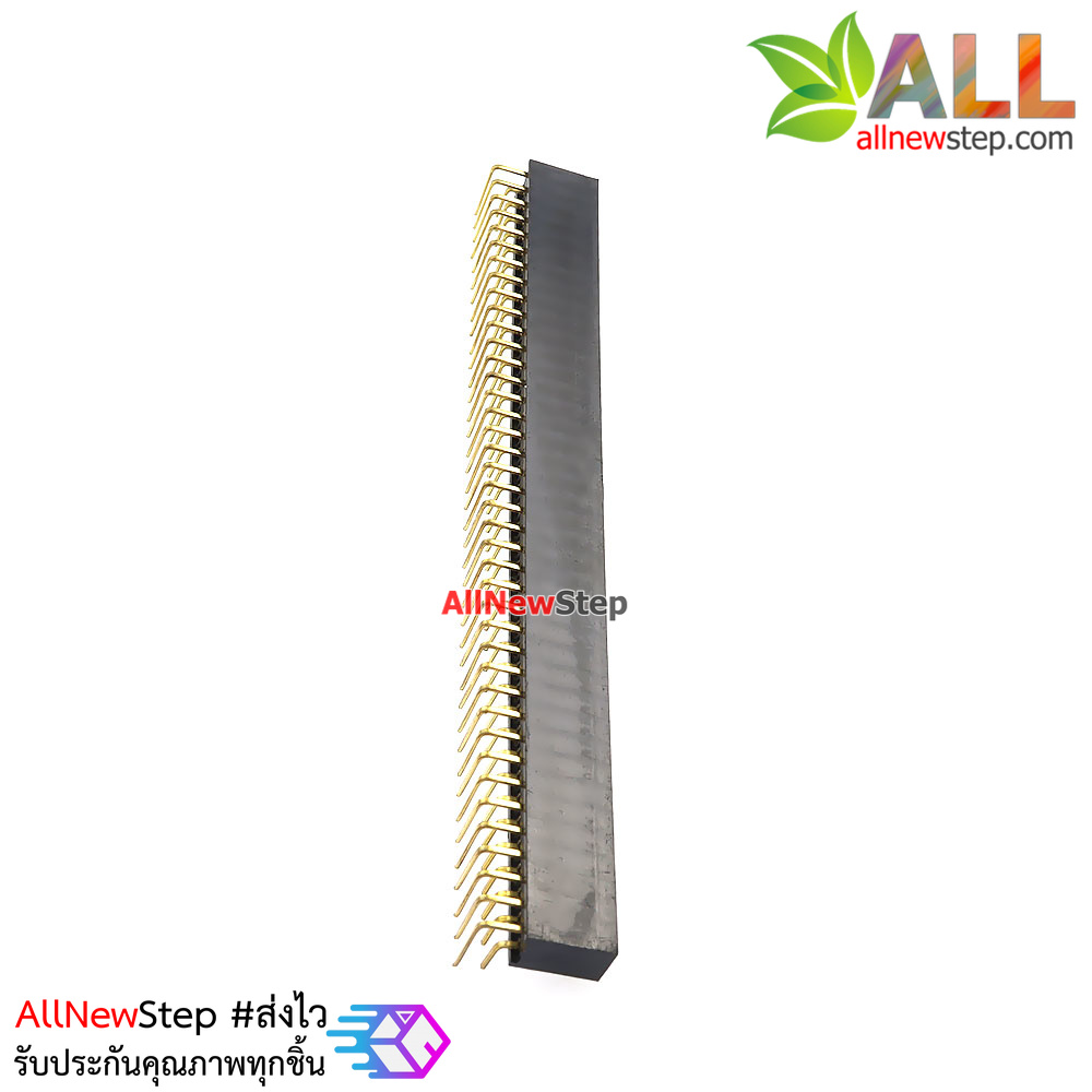 ขาก้างปลาตัวเมียแบบฉาก 2x40 ขา Double Row Hole Jack 2x40 PIN Header 2.54mm