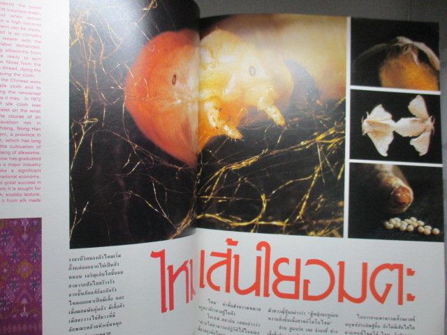 นิตยสารสารคดี ฉบับที่019 ปีที่02 2529 ไหมไทย,พิพิธภัณฑ์สัตว์น้ำ,ดิ่งพสุธา,พวงร้อย อภัยวงศ์