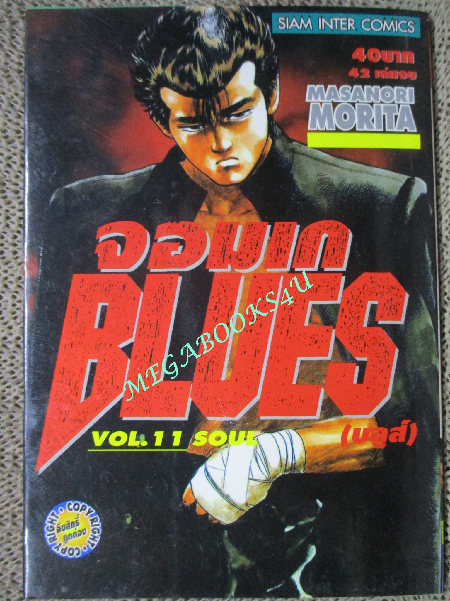 การ์ตูนบ้าน จอมเก BLUES (บูลส์) เล่ม11 / MASANORI MORITA สนพ.สยาม
