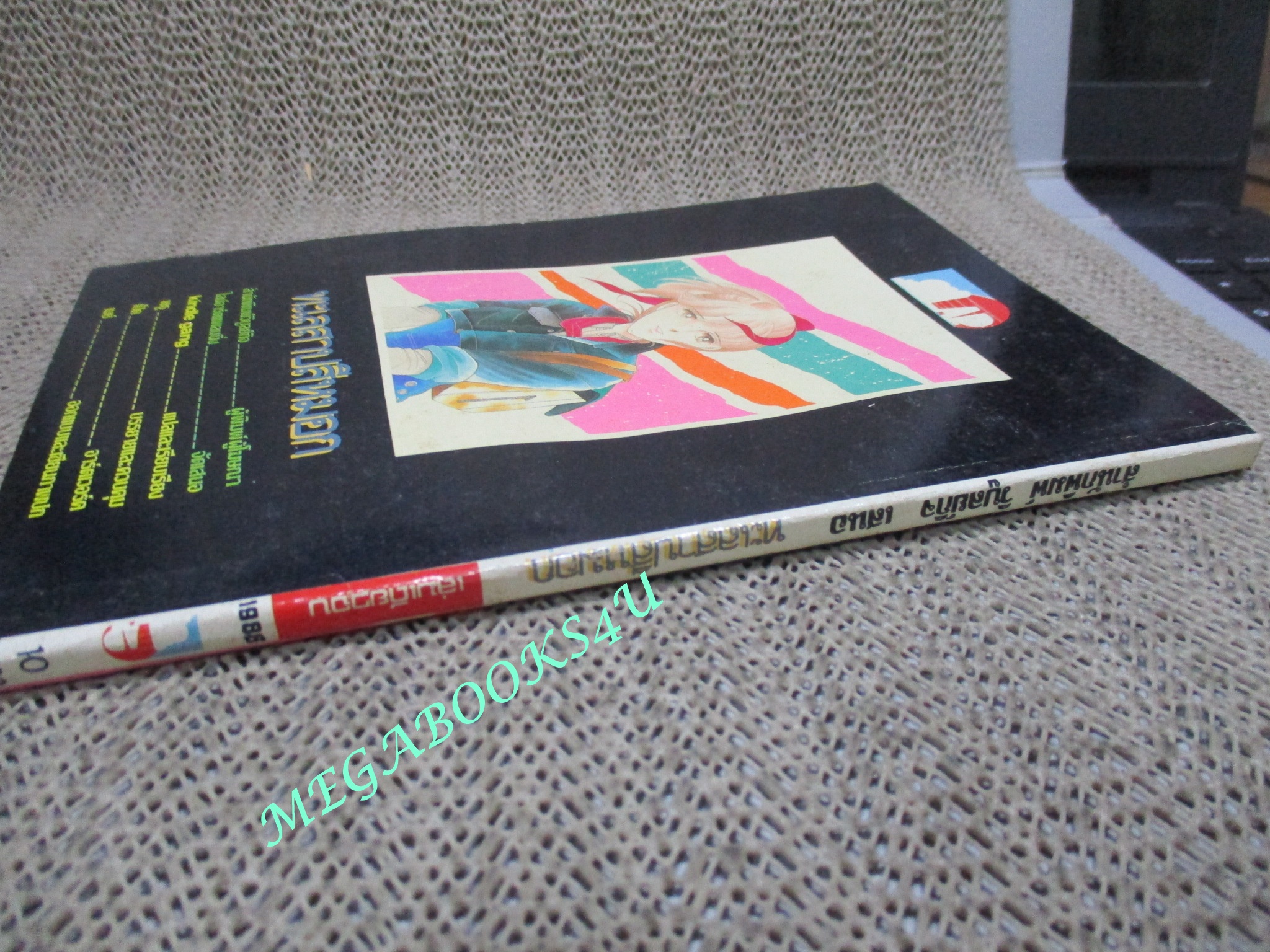 การ์ตูนบ้าน ทะเลสาบสีหมอก / เล่มเดียวจบ / วิบูลย์กิจ /