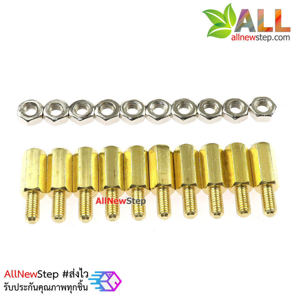 น็อตทองเหลืองตัวผู้และตัวเมีย 3mm 10+6mm Pillars Nut M3 10 คู่