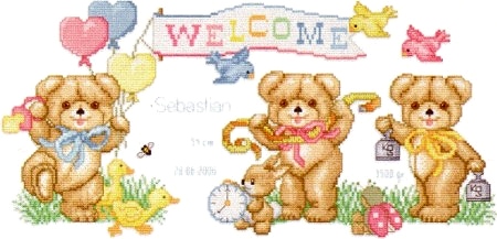 EMS ชุดปัก Beary Baby Announcement