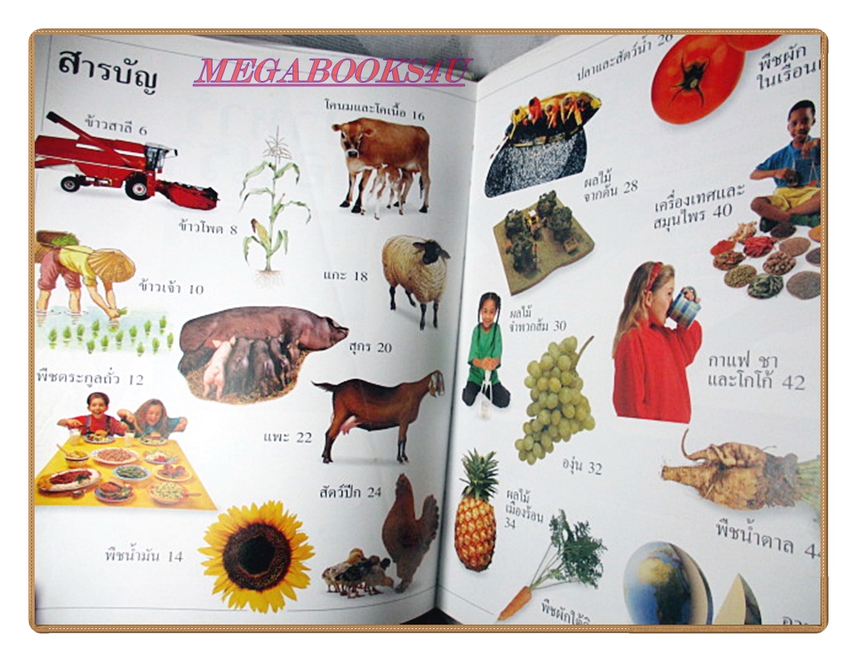 หนังสือมือสอง หนังสือเด็กรักลูก ห้องสมุดแสนสนุก เรื่อง อาหารของเรา