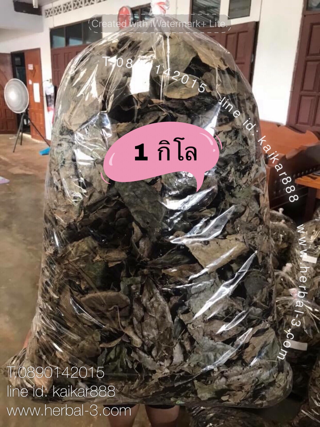 ชารางจืด (ใบอบแห้ง กิโล)