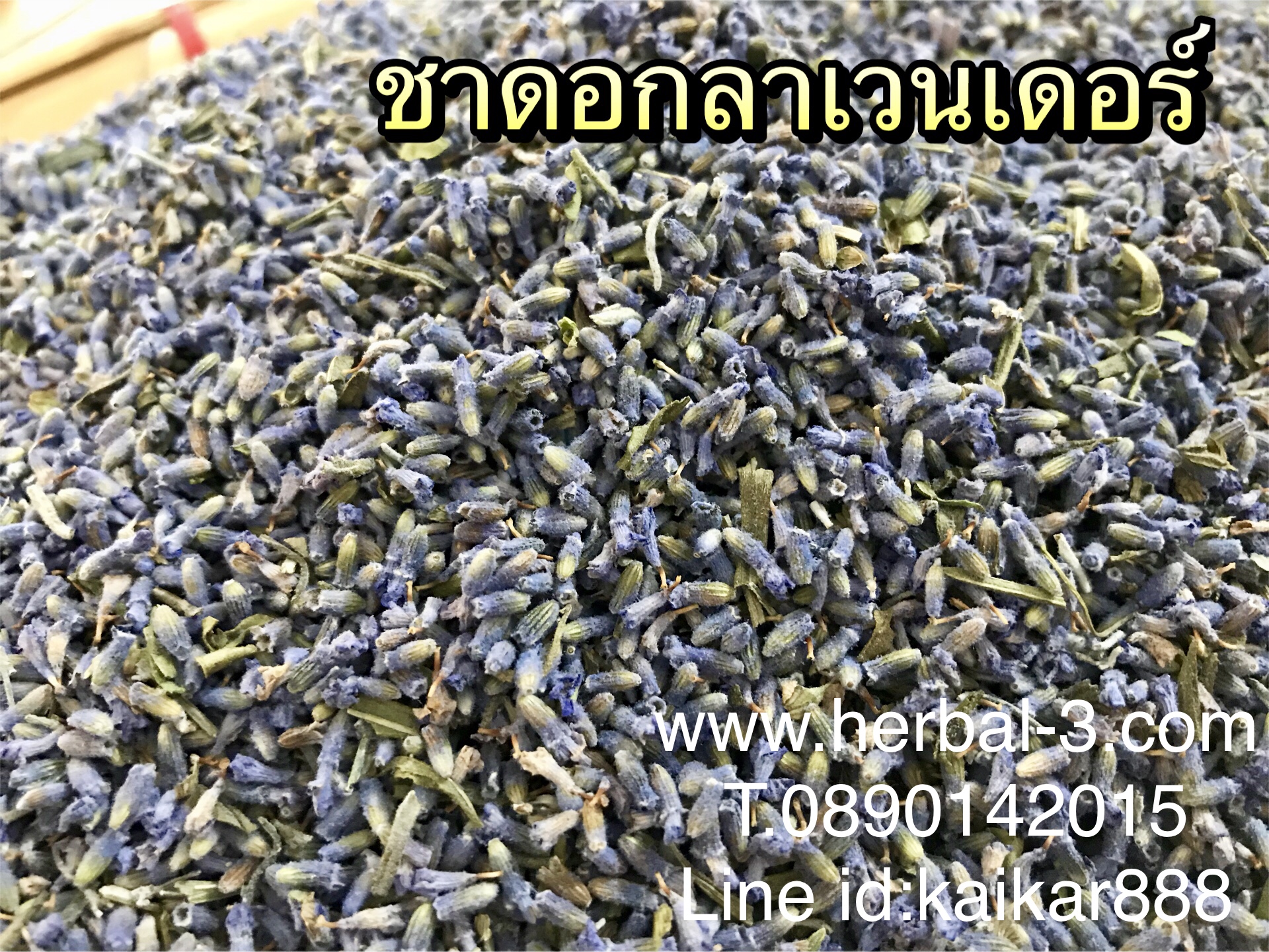 ดอกลาเวนเดอร์อบแห้ง (กิโล)