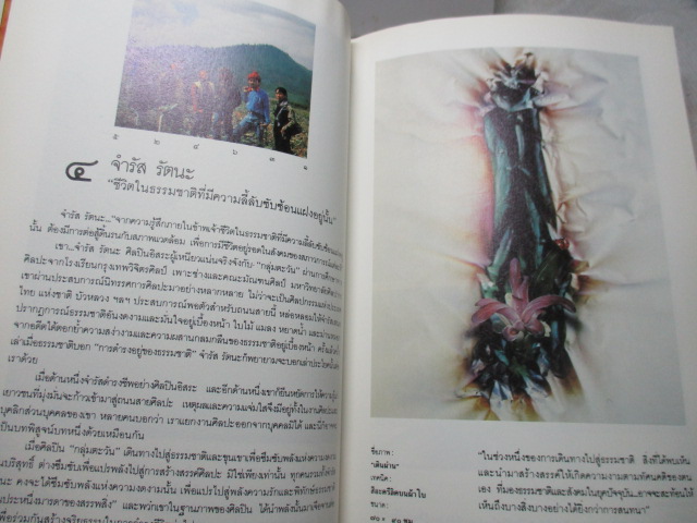 ป่าสวย...น้ำใส...ตะวันฝัน โดย ขรรค์ชัย บุนปาน