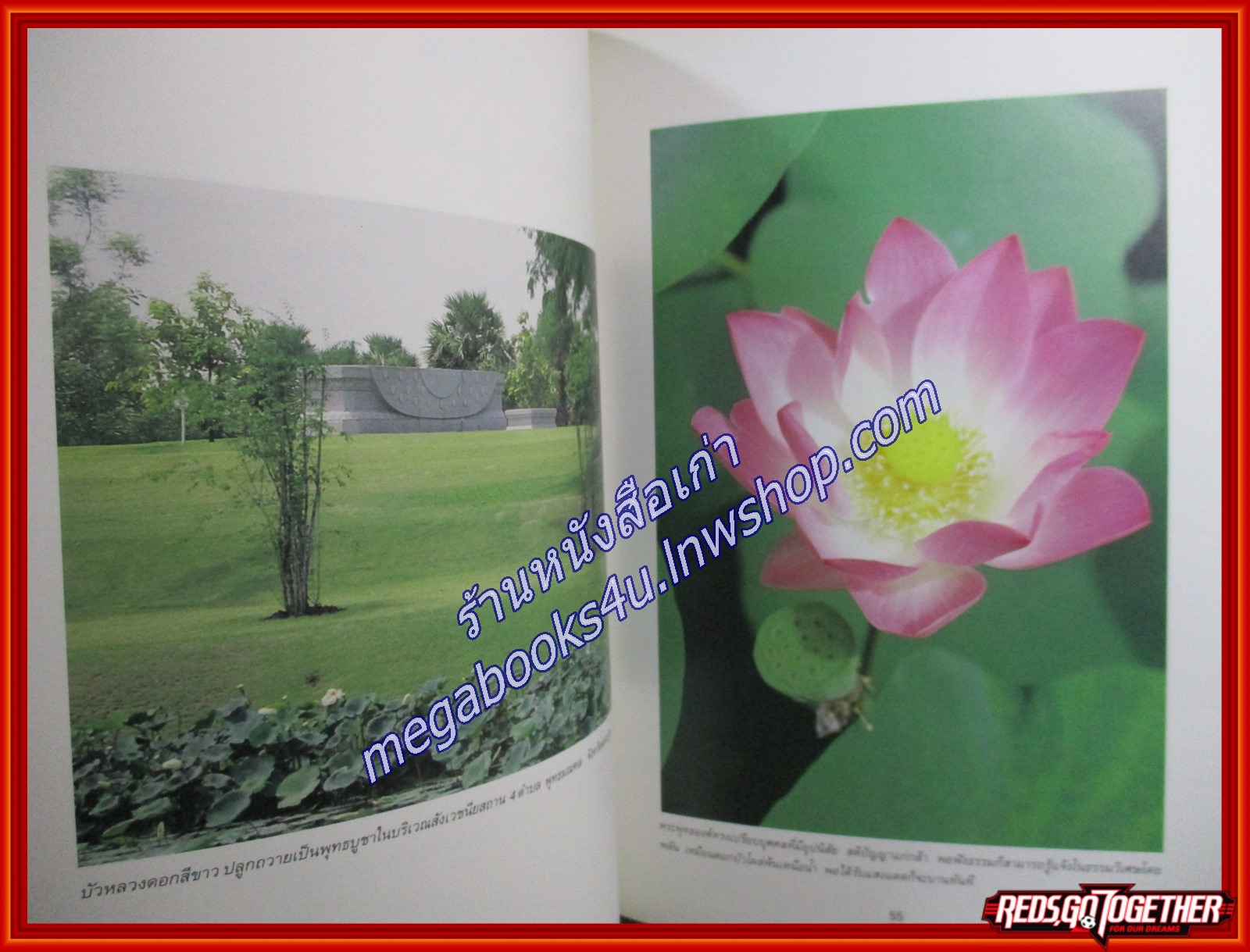 บัว ราชินีแห่งไม้น้ำ (ปกแข็ง) / เรื่องและภาพโดยคุณหญิงคณิตา เลขะกุล