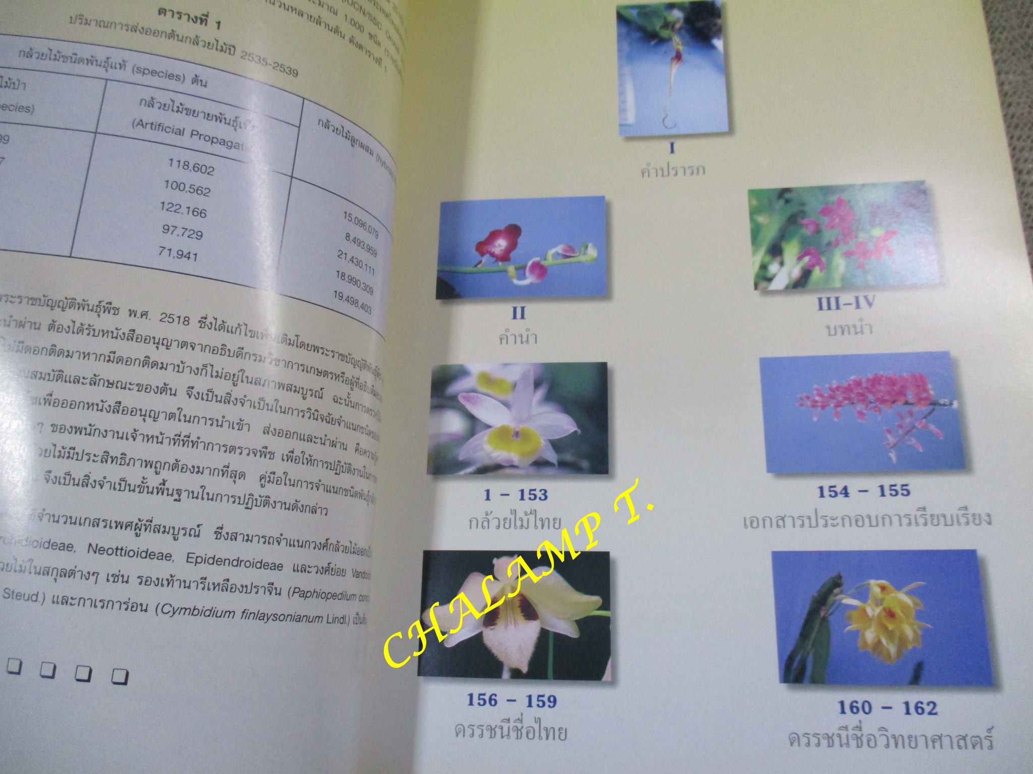 คู่มือจำแนกกล้วยไม้ไทย โดย ฝ่ายนำพืชและอนุรักษ์พืชป่า กองควบคุมพืชและวัสดุการเกษตร กระทรวงเกษตรและสหกรณ์