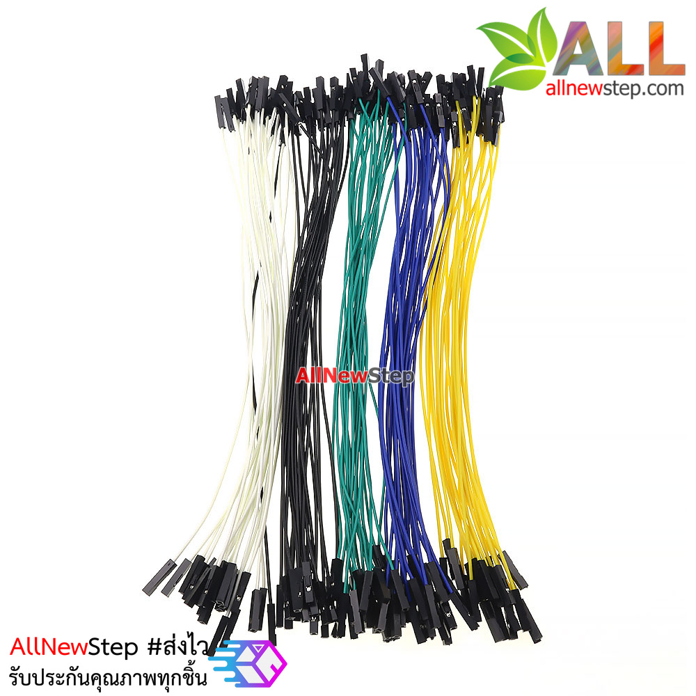 สายไฟ เมีย-เมีย สายไฟจัมเปอร์ 20cm 5 สี อย่างละ 20 เส้น รวม 100 เส้น