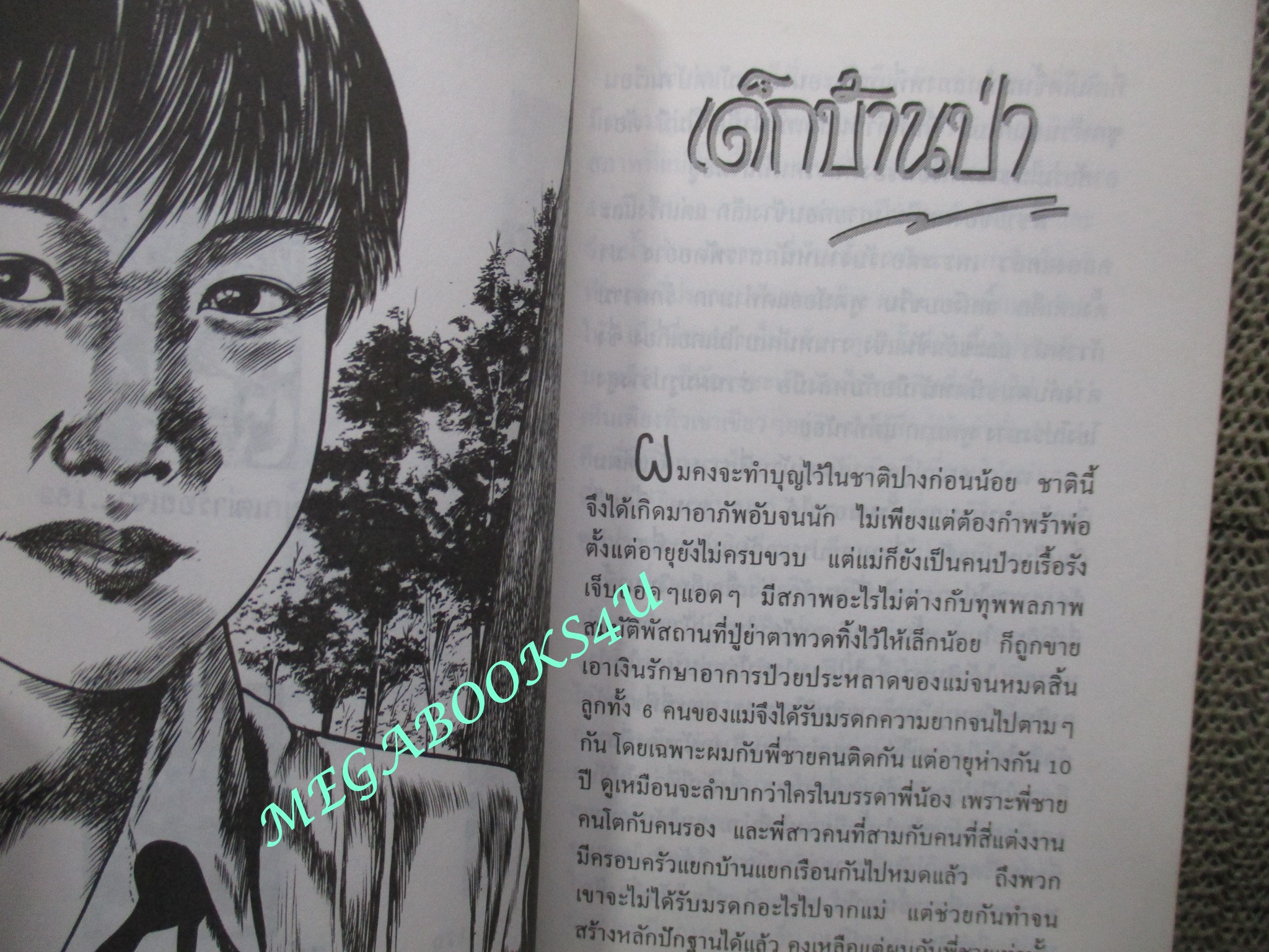 หนังสือ เด็กบ้านป่า. ผลงานของ ฉลอง เจยาคม