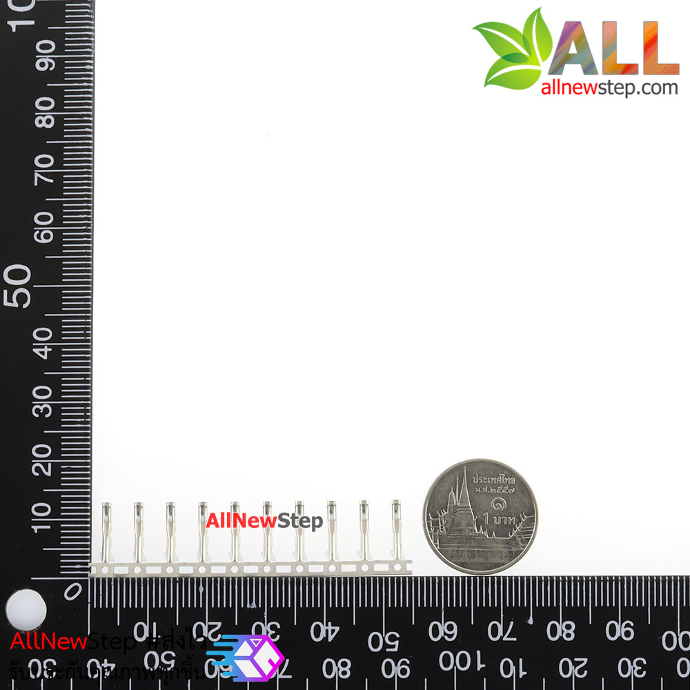 Dupont female terminal 2.54mm ไส้ไก่ ตัวเมีย จำนวน 10 ชิ้น