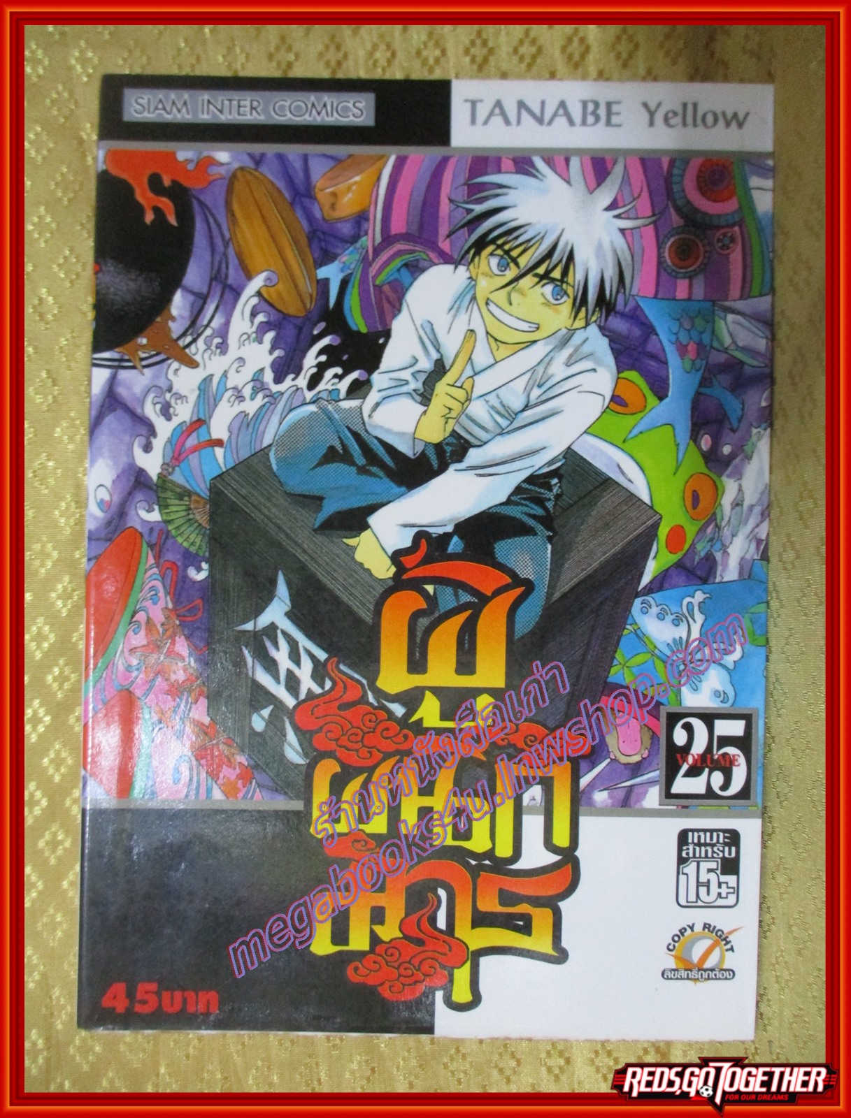 การ์ตูนบ้านแยกเล่ม ผู้ผนึกมาร เล่มที่25 โดย TANABE YELLOW สนพ.สยามฯ (35เล่มจบ) ตำหนิมีจุดเหลืองประปราย