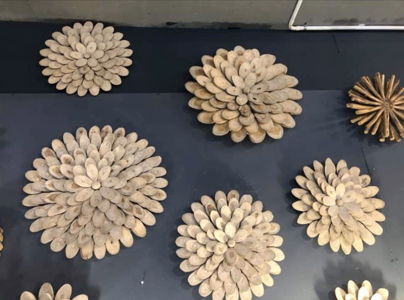 เถาวัลย์รากไม้ติดผนัง Wall decorative vines 3