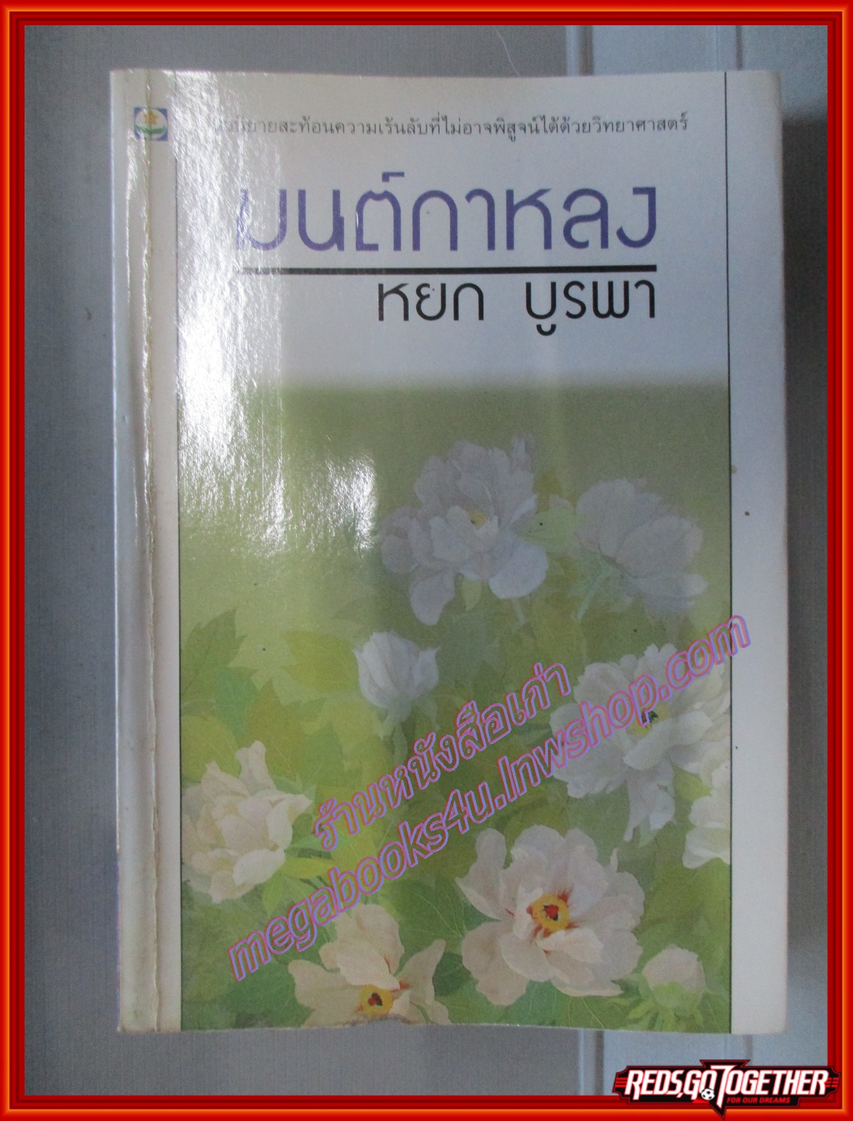 มนต์กาหลง โดย หยก บูรพา