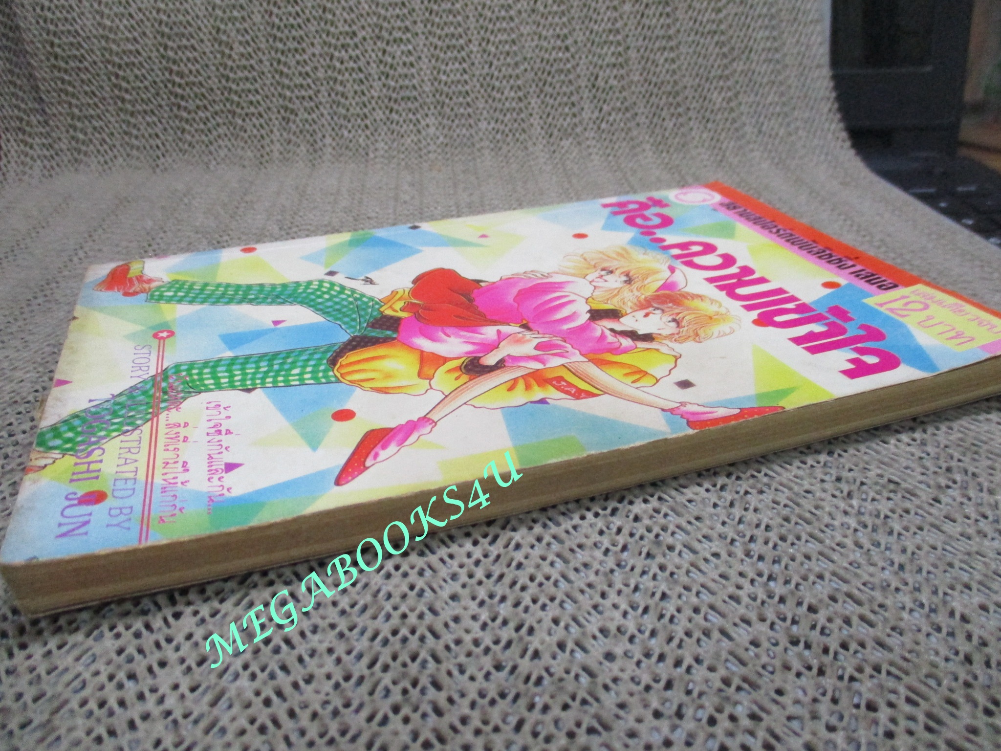 การ์ตูนบ้าน คือ...ความเข้าใจ / TOGACHI JUN / เล่มเดียวจบ / สยามฯ /