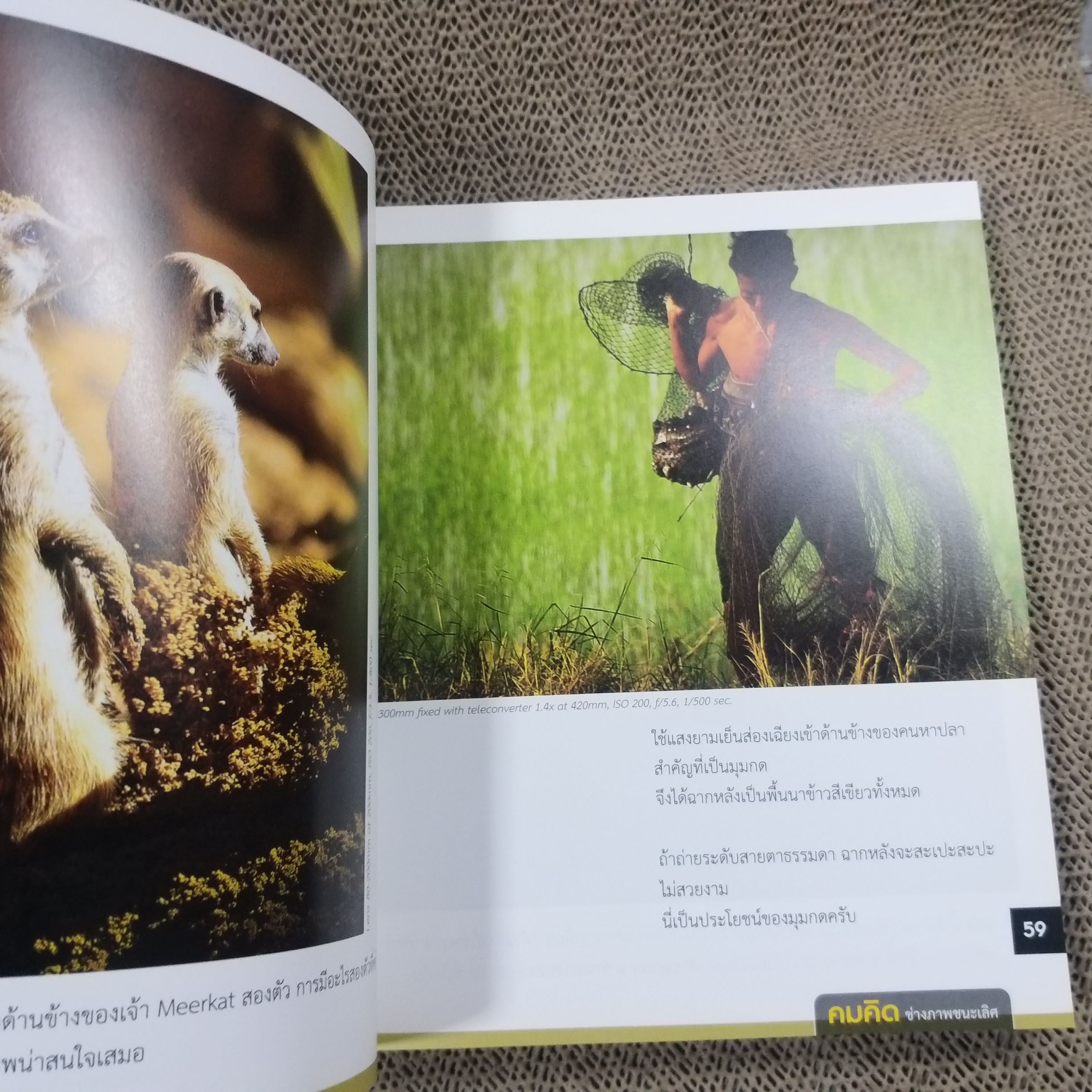 คมคิด ช่างภาพชนะเลิศ เผยเคล็ดลับความคิดก่อนถ่าย ผู้เขียน ชัยยศ จันทร์แย้ม/ สภาพดี 90 %