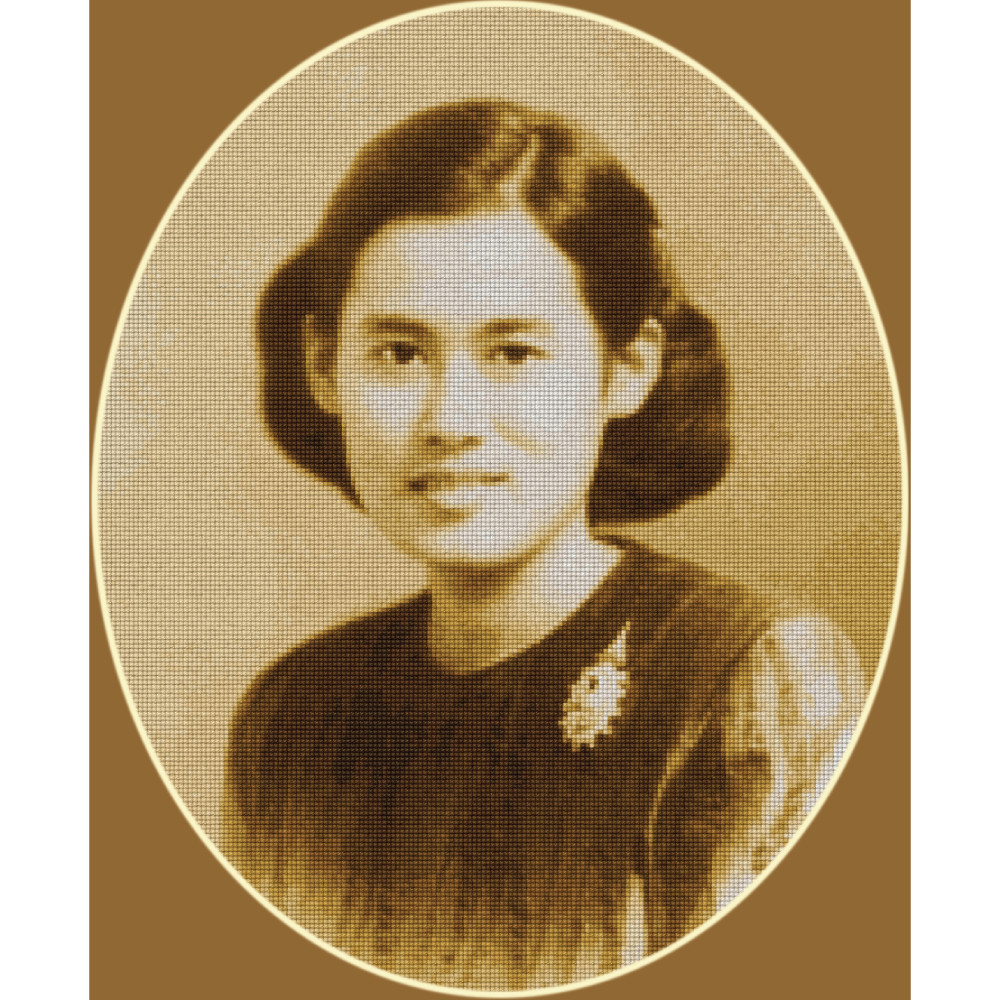 Pinn สมเด็จพระเทพฯ (ภาพวงรี)