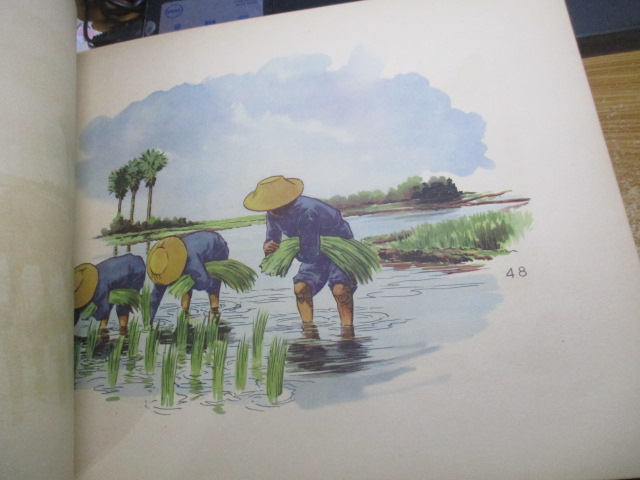 ภาพผนังสำหรับประกอบการสอน เล่ม " ไปโรงเรียน " พิมพ์ครั้งที่หนึ่ง พ.ศ.2497 ปกอ่อน ปกหน้ากรอบแหว่งตามรูป ปกหลังคิดว่าไม่มี ภาพด้านในสภาพดี มีภาพทั้งหมด 48 แผ่น แต่รูปสุดท้าย รูปในหลวง เป็นภาพที่67 ด้านในจะมีภาพซ้ำบ้าง หมายเลข ซ้ำบ้าง