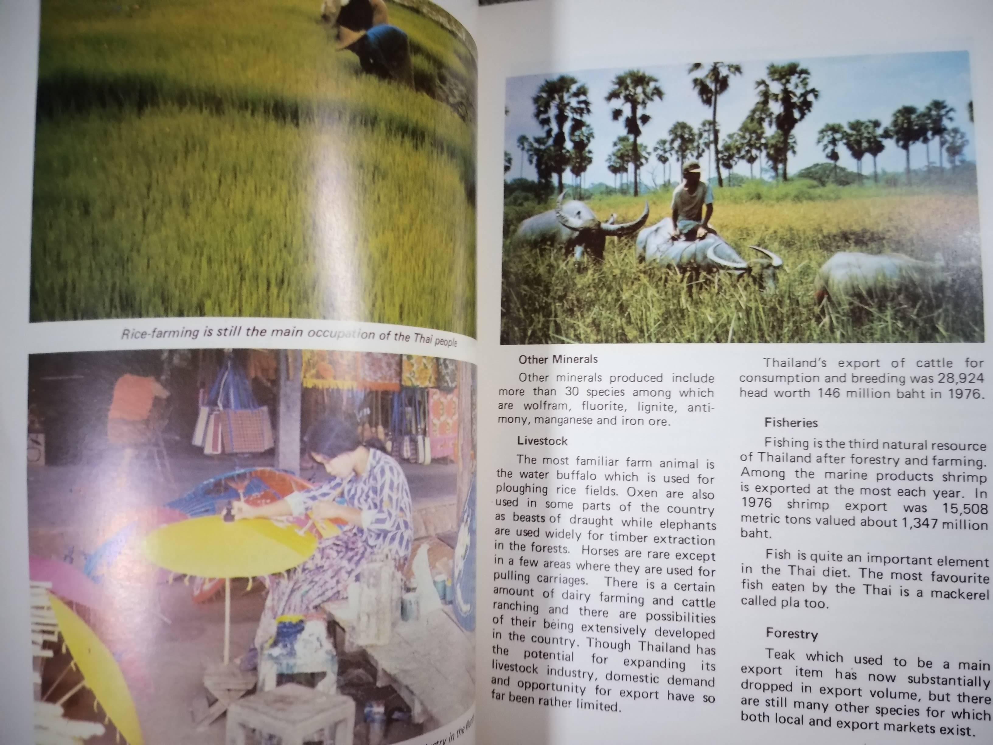 หนังสือ ภาพสี THAILAND IN BRIEF / ประเทศไทยในอดีต