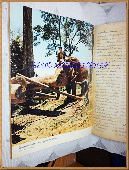 MD0711;นิตยสาร อ.ส.ท. ปีที่09 ฉบับที่02 กันยายน 2511ปก สาวอีก้อแห่งดอยแสนใจ แม่สลอง เชียงราย