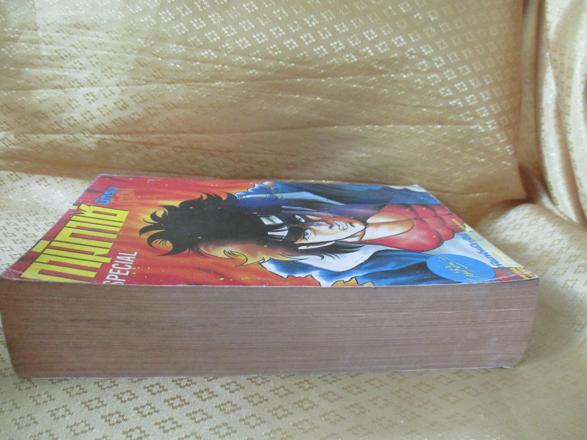 การ์ตูนบ้าน กามิกาเซ่นักรบเถื่อน เล่มเดียวจบ สนพ.หมึกจีน