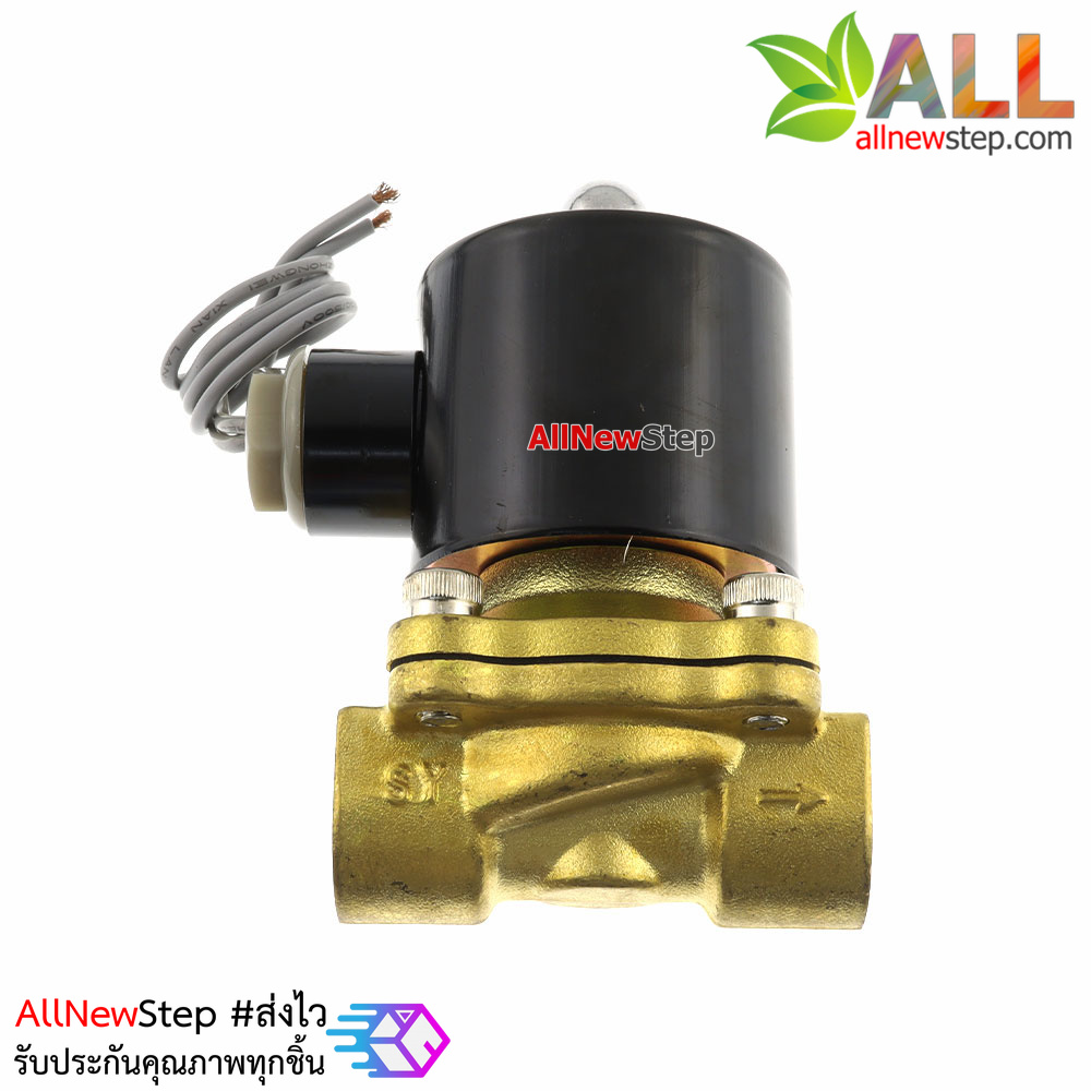 Solenoid Valve โซลินอยวาล์ว ทองเหลือง สองทาง รุ่น 2W-160-15 AC ขนาด 4 หุน 24V